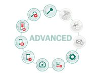 Kaspersky Endpoint Security for Business - Advanced - Förnyelse av abonnemangslicens (1 år) - 1 nod - volym - Nivå P (25-49) - Win - Europa KL4867XAPFR
