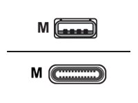 Huddly - USB-kabel - USB typ A (hane) till 24 pin USB-C (hane) - USB 3.1 Gen 1 - 5 V - 2 A - 60 cm - svart - för IQ 7090043790290