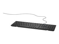 Dell KB216 - Tangentbord - USB - QWERTY - USA, internationellt - svart 580-ADHY