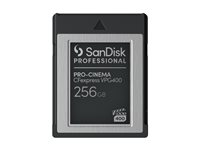 SanDisk Professional - Flash-minneskort - 256 GB - CFexpress, typ B - svart SDPCVN4-256G-GNANN