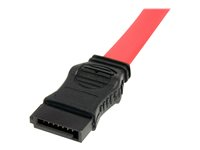 StarTech.com 20in Slimline SATA to SATA with LP4 Power Cable Adapter - slim SATA Adapter - slimline Adapter - slim SATA to SATA (SLSATAF20) - SATA-kabel - Serial ATA 150/300/600 - Smal SATA (hona) till SATA, 4-stifts intern ström (12V) - 50.8 cm - röd SLSATAF20